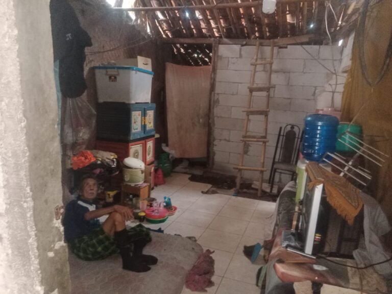 IMG-20251123-WA0015(1)