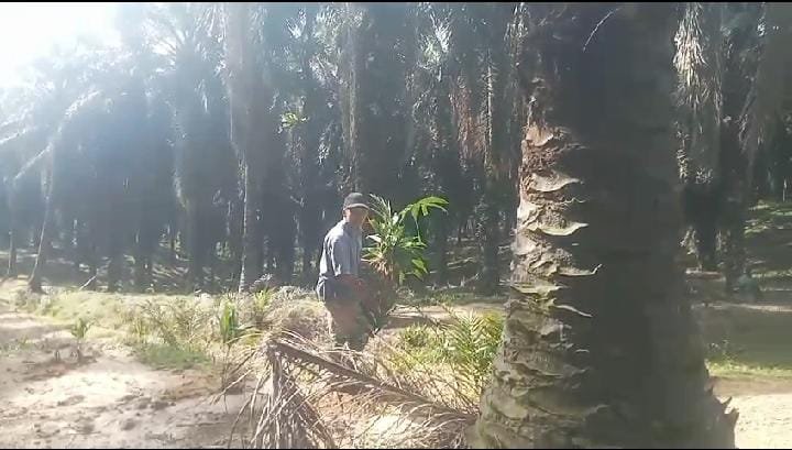 IMG-20260303-WA0025(1)