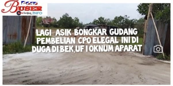 IMG-20260305-WA0053_1