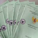 IMG_20260303_151534_393