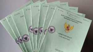 IMG_20260303_151534_393