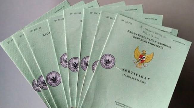 IMG_20260303_151534_393