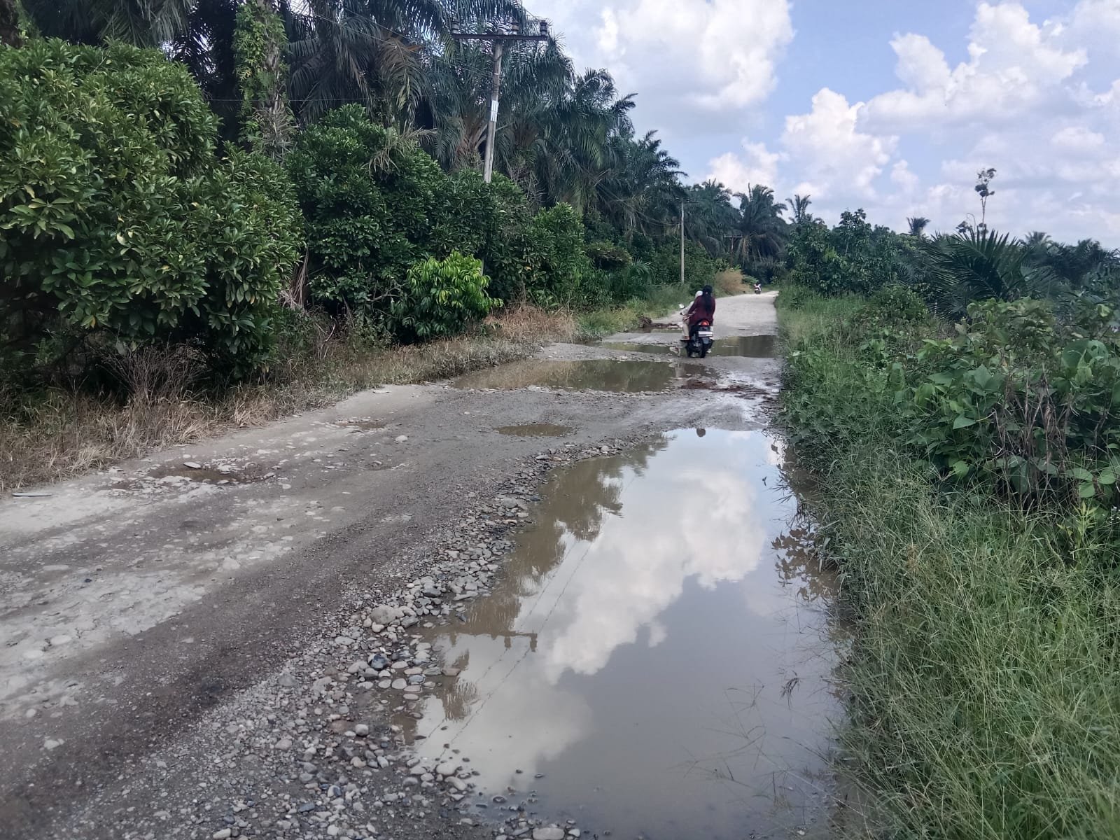 30 Tahun Terabaikan: Jalan Provinsi Sumut Simpang PTPN 4 Sibodak–Sosa Timur Rusak Parah, Jembatan Aek Tinga Tak Layak Pakai tapi Luput dari Perhatian