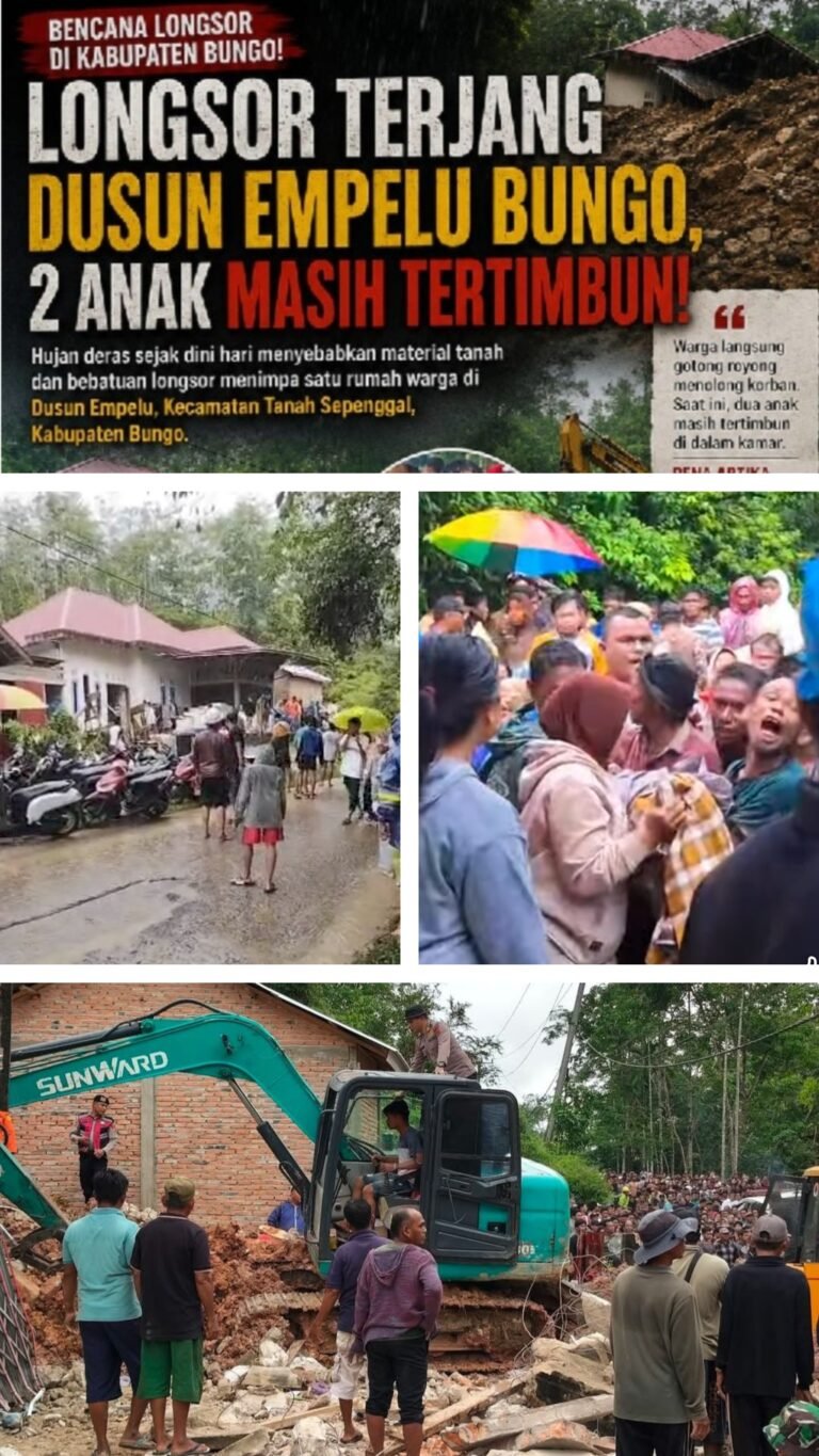 20260513_170149-COLLAGE