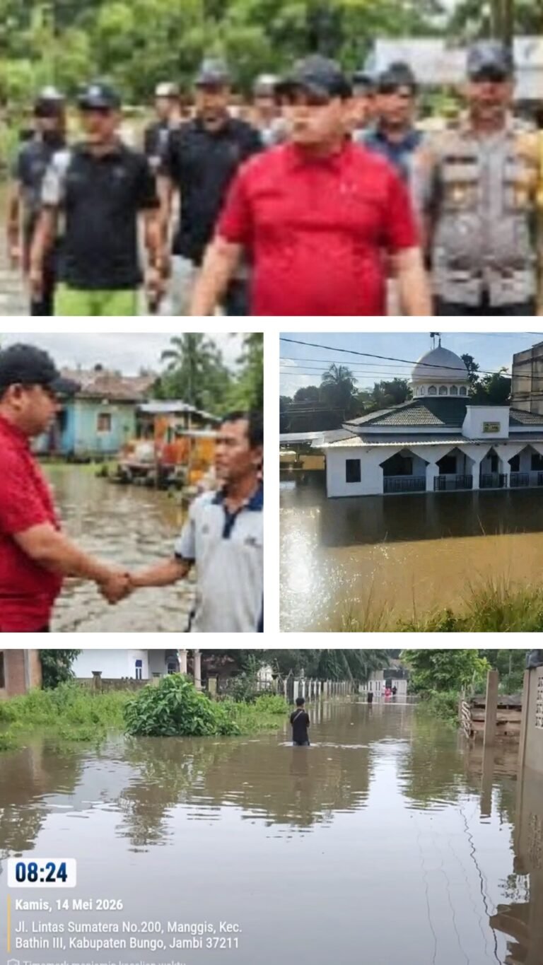 20260515_194713-COLLAGE