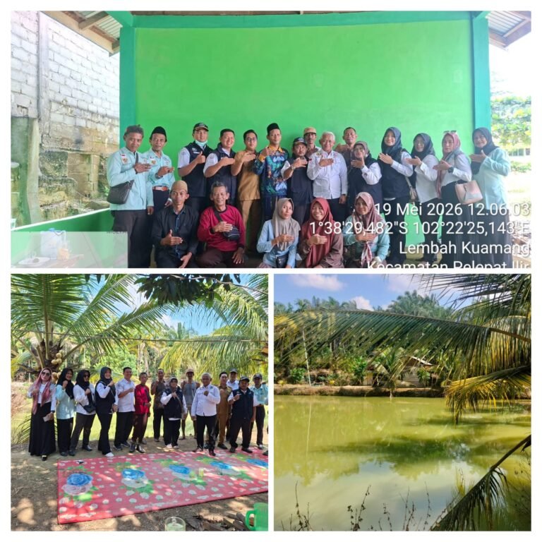20260521_190148-COLLAGE
