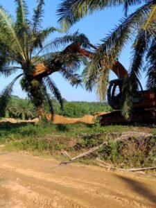 Foto : Bukti pengrusakan lahan Sukarman yang dilakukan Agus Priyono SE