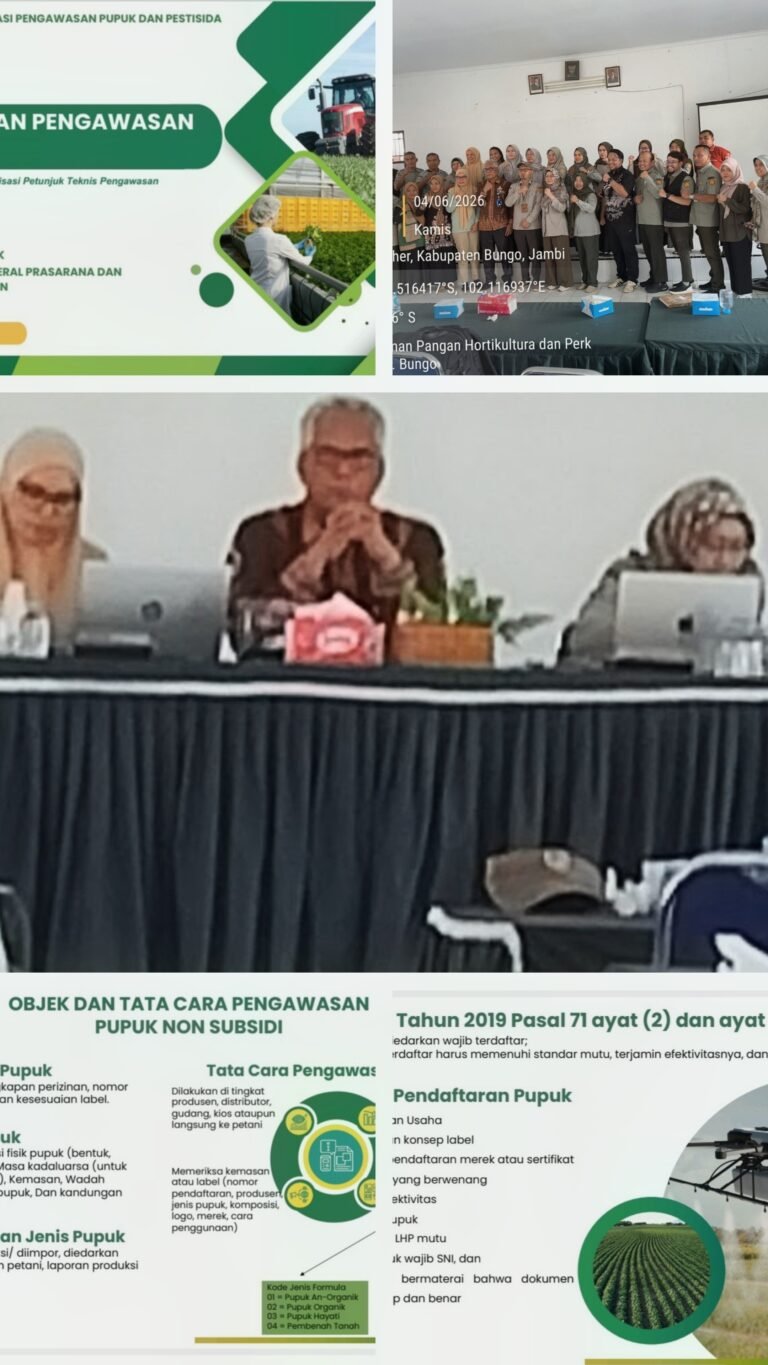 20260605_144541-COLLAGE~2